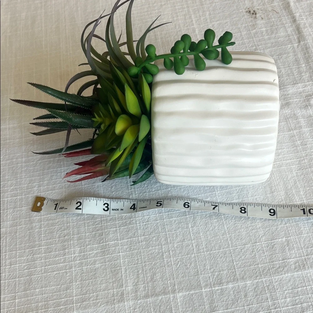 Elegant White Planter with Lush Green and Red Succulents